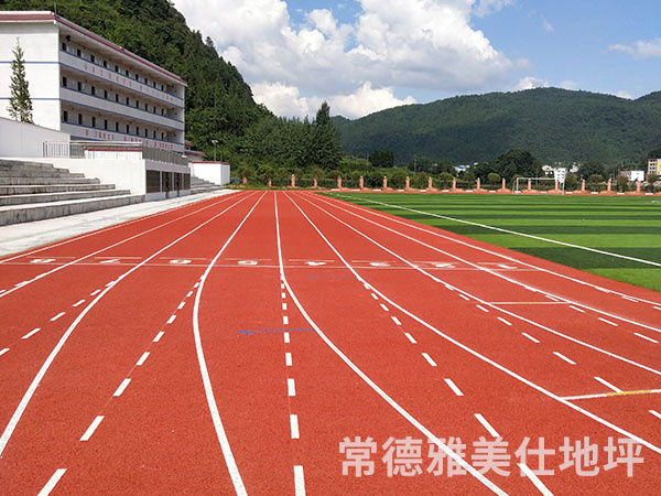 銅仁中學(xué)塑膠跑道、草坪